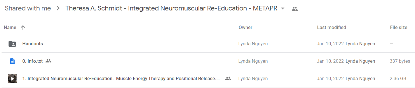 Theresa A. Schmidt - Integrated Neuromuscular Re-Education2