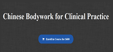 Andrew Nugent-Head - Chinese Bodywork for Clinical Practice
