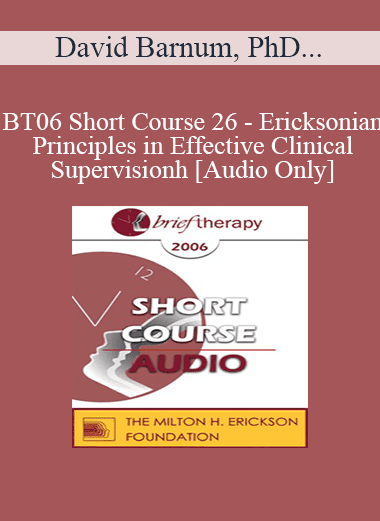 [Audio Download] BT06 Short Course 26 - Ericksonian Principles in Effective Clinical Supervision: Teaching Therapy from the Inside Out - David Barnum