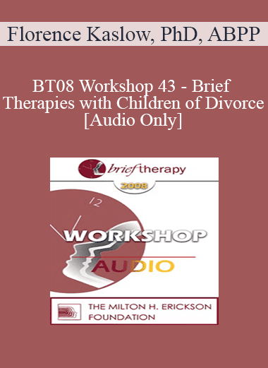 [Audio Download] BT08 Workshop 43 - Brief Therapies with Children of Divorce: Before