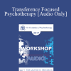 [Audio Download] EP17 Workshop 29 - Transference Focused Psychotherapy - Otto Kernberg