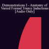 [Audio Download] IC92 Workshop 13b - Demonstrations I - Anatomy of Varied Formal Trance Inductions - Betty Alice Erickson