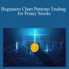 [Download Now] Beginners Chart Patterns Trading for Penny Stocks