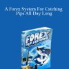 [Download Now] Forex Pip Fishing – A Forex System For Catching Pips All Day Long