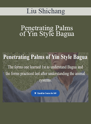 Liu Shichang - Penetrating Palms of Yin Style Bagua