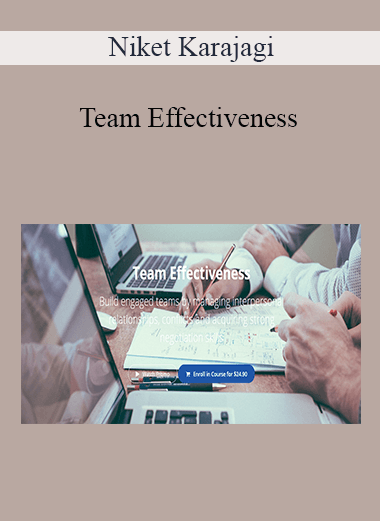 Niket Karajagi - Team Effectiveness