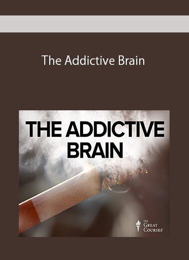 The Addictive Brain
