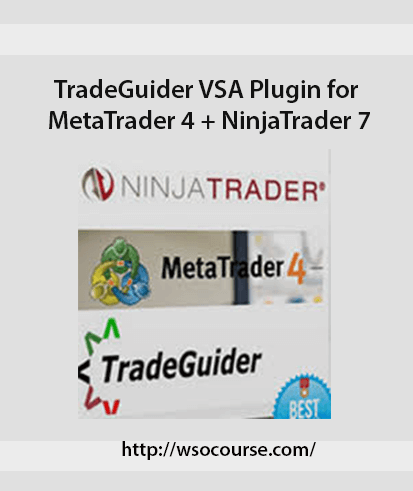 [Download Now] TradeGuider VSA Plugin for MetaTrader 4