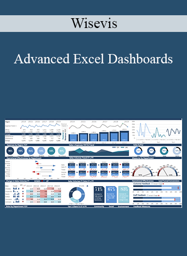 Wisevis - Advanced Excel Dashboards