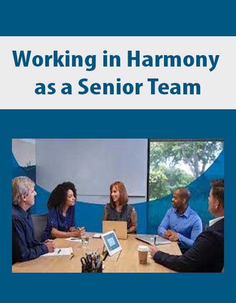 Working in Harmony as a Senior Team