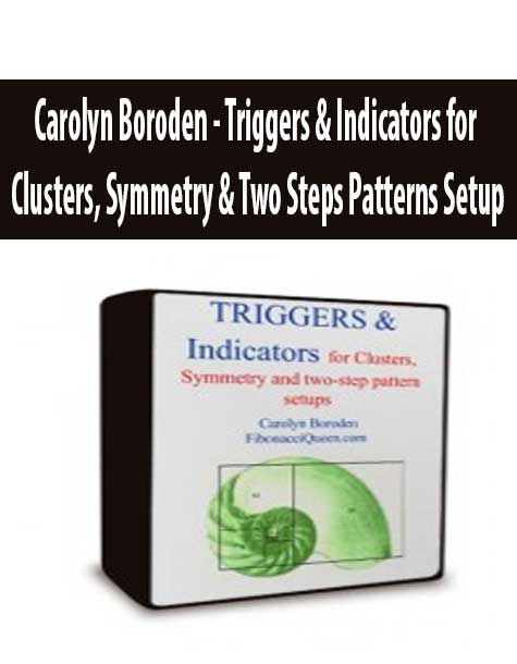 Carolyn Boroden - Triggers & Indicators for Clusters