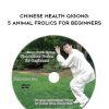 Jesse Tsao – Chinese Health Qigong: 5 Animal Frolics for Beginners