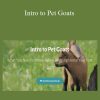 Deborah Niemann - Intro to Pet Goats